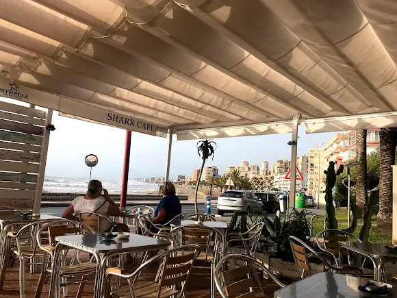 SHARK CAFÉ