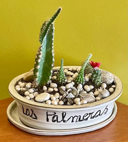 Las Palmeras - Castuera