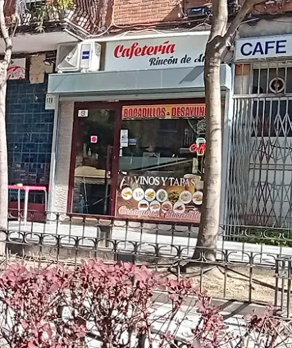 Rincon De Ani