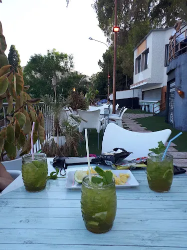 Bar Magos