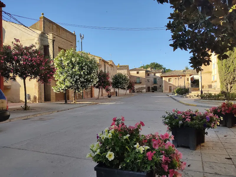 Centro Social - Frescano